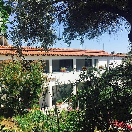 Villa Meroulas Megali Ammos  Exterior foto